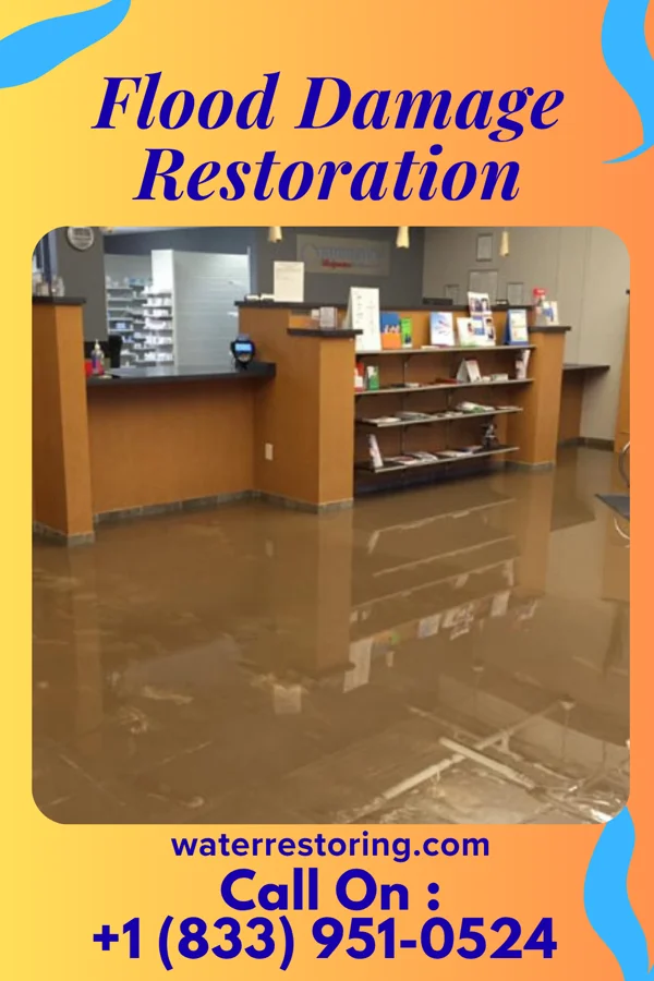 Flood Damage Restoration in Troy, SC