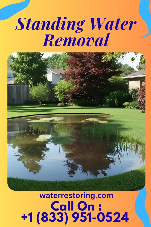 Standing Water Removal in Troy, SC